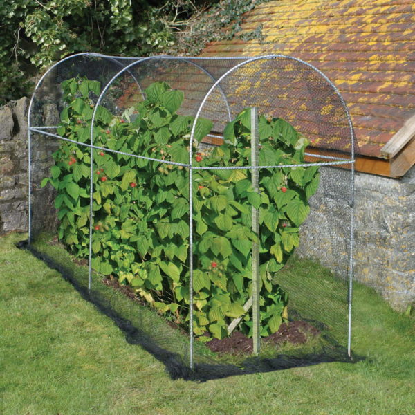 Long Domed Roof Fruit Cage
