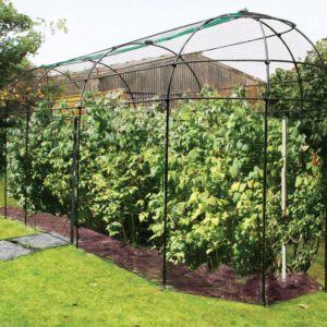 Long Narrow Fruit Cage with Zip Net - Traditional Gloss Black