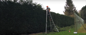 Henchman 12 Foot Ladder