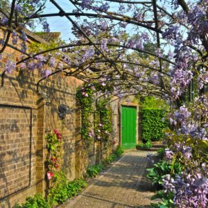 monet wall pergola