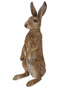 Vivid Arts Real Life Standing Hare - Size B