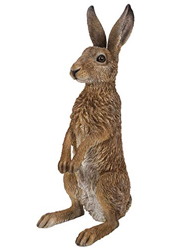 Vivid Arts Real Life Standing Hare - Size B