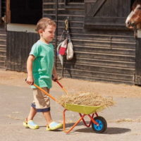 Smart Garden Wheelbarrow for Kids