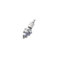 Oregon Oregon 77-303-1 Spark Plug