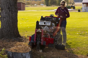 Barreto 30 SGB Stump Grinder