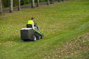 The Etesia Hydro 80 MKHP Collecting