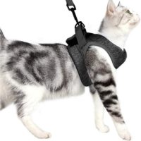 1 Set Cat Vests with Traction Rope Harness and Leash Quick Release Collar Kitten Cat Safety Vest (Black, Size s)