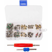 102Pcs Car R134a/R12 a/c Air Conditioning Valve Core & Remover Tool Kit 1/4'' 5/16'',model: 102Pcs