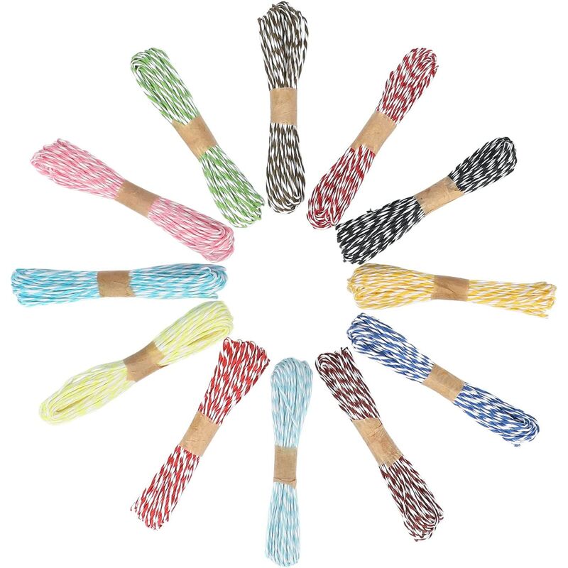 12 Colors of Raffia Decorative Twine - 10m of Paper - For diy and Crafts
