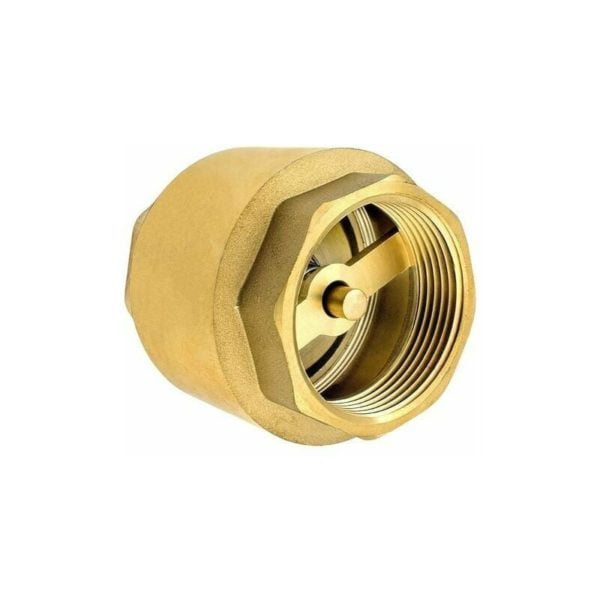 1/4 Inch High Quality Brass Check Valve, Rust and Leak Resistant for Pump, Fountain, Washing Machine, Garden, Rain Butts, Barrel