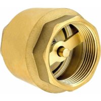 1/4 inch check valve made of heavy-duty high quality brass, rust-proof and leak-proof for a pump, fountain, washing machine, garden, rain butts,