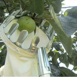 16cm Diameter] Yeoman Telescopic Metal Fruit Picker Orchard Gardening Large Tree Picking Tool 1 Piece, Silver