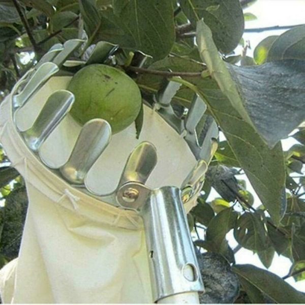 16cm Diameter] Yeoman Telescopic Metal Fruit Picker Orchard Gardening Large Tree Picking Tool 1 Piece, Silver