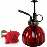 1pc Colour Strips Vintage Decorative Glass Pot Watering Can Pressure Sprayer For Plants Bonsai Flowers Gardening Tools Red