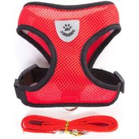 1pcs Breathable Mesh Small Dog Pet Harness And Leash Set Puppy Cat Vest Harness Collar For Chihuahua Pug Bulldog Cat (m2.5-4kg, Red),,THSINDE
