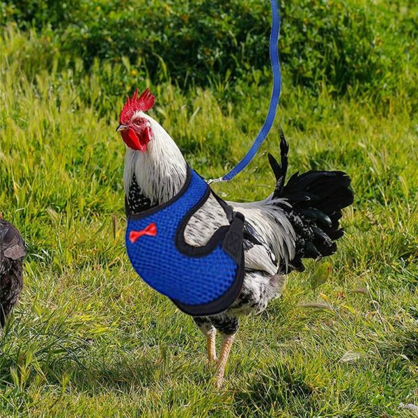 2 Pieces Adjustable Soft Strap Chicken Harness Chicken Sling New Pet Leash, Adjustable, Comfortable, Breathable, Pet Duck Leash - Blue