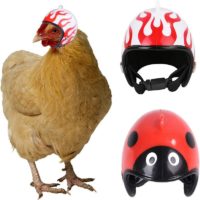 2 pcs Chicken Helmet, Chicken Bird Toy Head Protection Helmet Bird Hat Headwear, Pet Safety Helmet Funny Parrot Helmet, Adjustable Small Pet Hard Hat