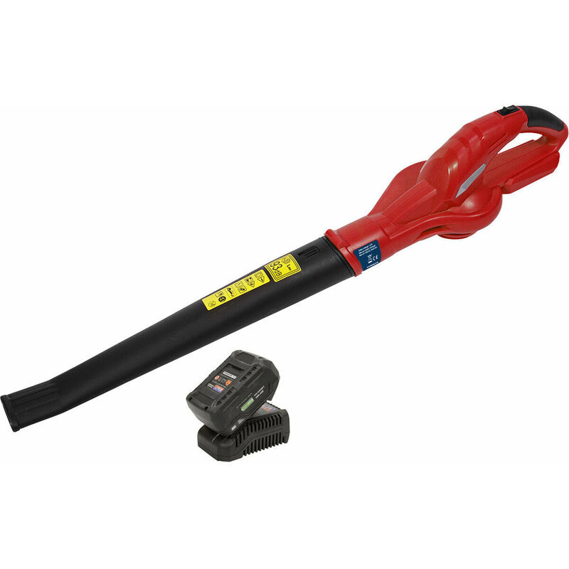 20V Lightweight Cordless Leaf Blower Bundle - Includes 4Ah Battery & Charger