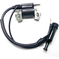 2KW168 170F 188 Gasoline Generator Parts High Voltage Package