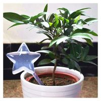 2pcs automatic flower watering device