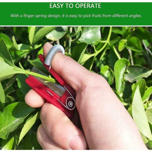 2pcs/set Gardening Harvesting Tool Fruit Picker Plants Trimmer Separator Mini Garden Pruner Stainless Steel Shears Crjjkoy