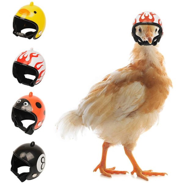 4pcs Chicken Bird Helmet Small Pet Creative Headgear Hens Duck Hat Protect