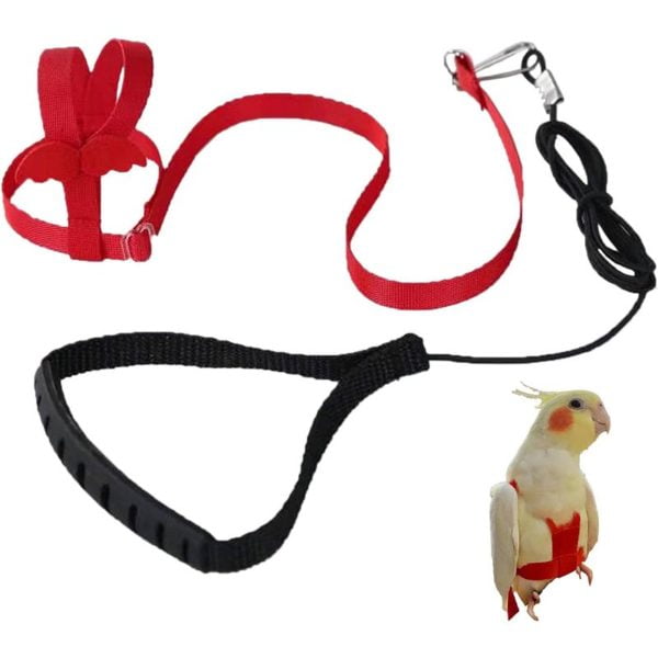 Adjustable Parrot Harness Bird Harness Outdoor Fly Training Leash Anti-bite Leash Elastic Band for Birds Parrots Cockatoos Macaws