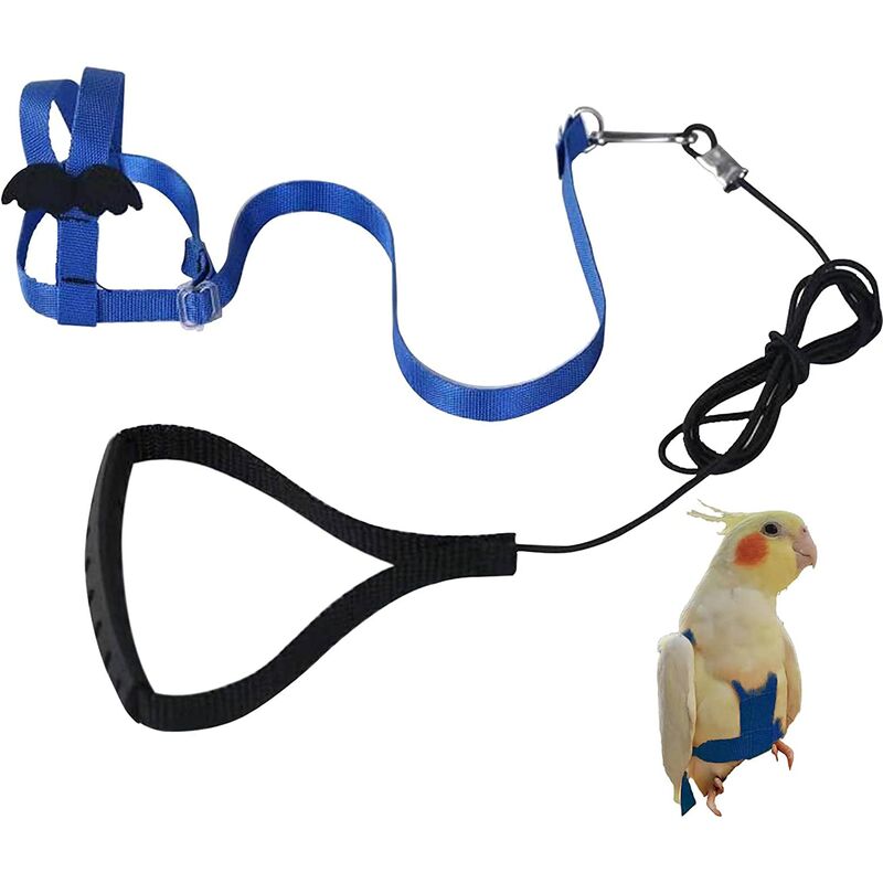 Adjustable Parrot Harness Pet Leash Anti-bite Rope Bungee Leash for Bird Parrot Cockatiel Macaw
