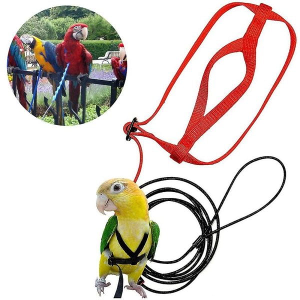 Adjustable Pet Bird Harness Parrot Bird Harness Leash Antibite Training Rope Pet Outdoor Flight Harness