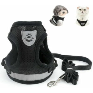 Adult Cat Harness, Collars, Harnesses and Leashes for Chihuahua Cats, Kitten Harness, with Anti-Lost Address Pendant and Cat Bells, M