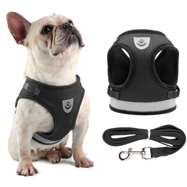 Asupermall - Dog Harness and Leash Set Reflective Adjustable Mesh Vest for Small Dogs Puppy Cats - Black,X-Small