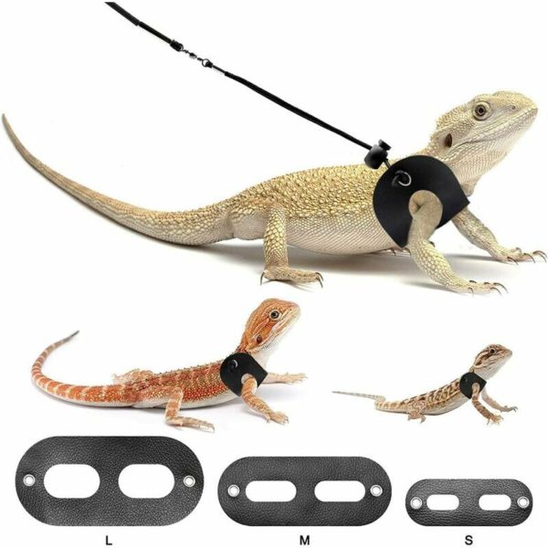 Bearded Dragon Harness and Belt Adjustable Leather Lizard Reptile Harness for Amphibians and Other Small Animals (S,M,L,3pcs)