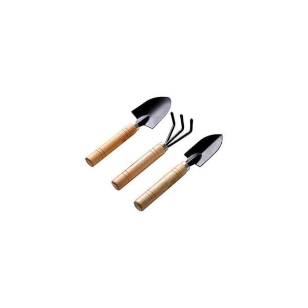 Black 3 pcs Set Mini Gardening Tools Shovel Rake Spade Succulent Plants in Flower Pot Garden Tools Claw with Wooden Handles