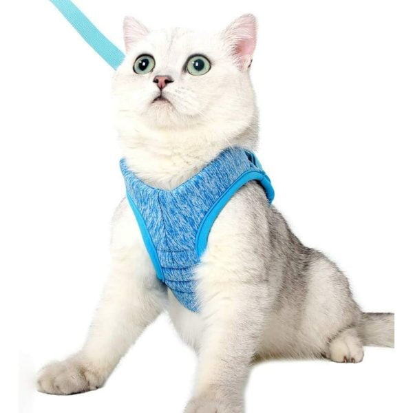 Cat Harness - Ultra-Light Cat Harness and Lead Set Kitten Anti-Leak Adjustable Harness for Puppy Rabbit Ferret blue l - Litzee