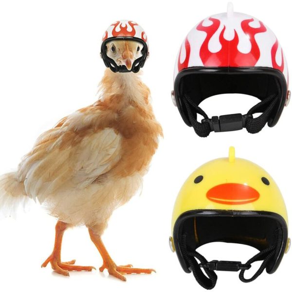 Chicken Helmet Hat Pet Helmets Little Bird Chicken Helmet Hat Funny Chicken Helmet Small Animal Helmet Suitable for Chickens Hens Pets Birds