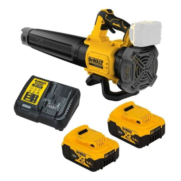 DCMBL562P2 18v xr Brushless Axial Blower + 2 x 5.0ah Batteries + Charger - Dewalt