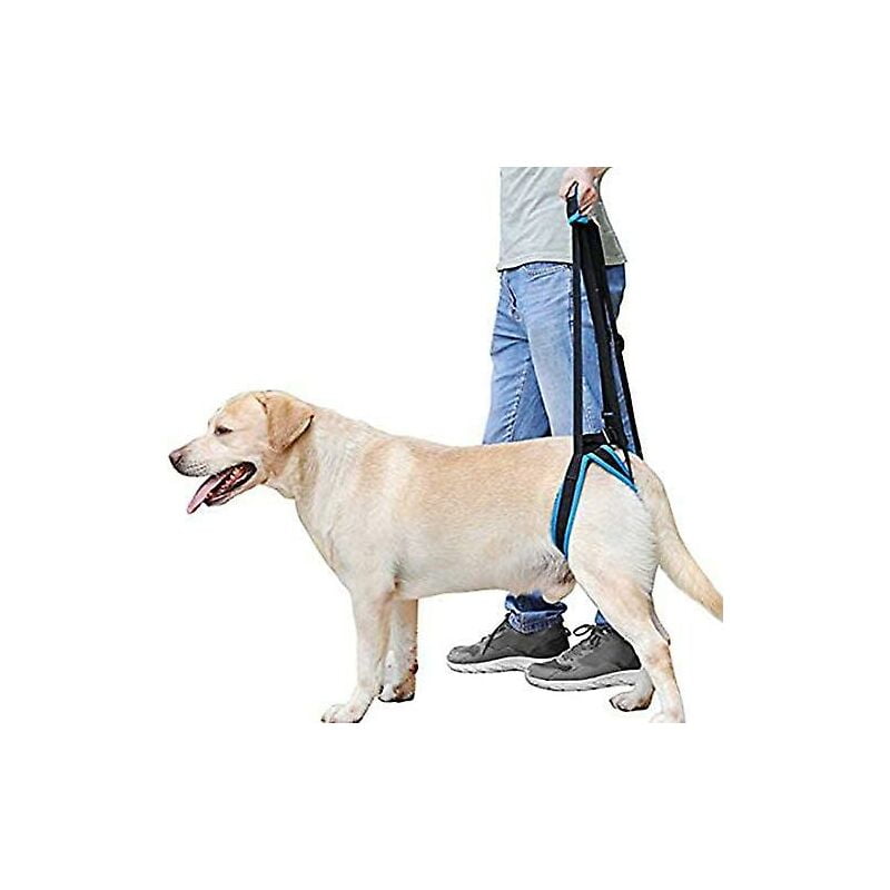 Dog Lift Harness Dog Support Sling Aid Mobility With Handle To Lift Pets Front Rear Legs For Senior Dog Weak Legs Surgery Rehabilitation (blue, M)