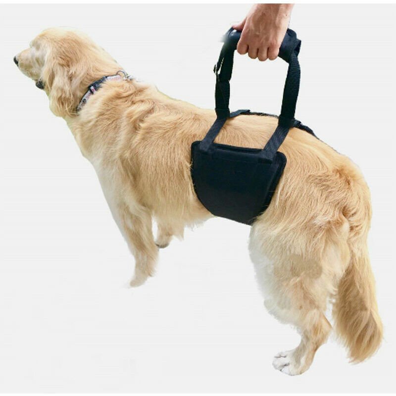 Dog Lift Harness Dog Support Sling Aid Mobility with Handle to Lift Pets Front Rear Legs for Senior Dog Weak Legs Surgery Rehabilitation (black)