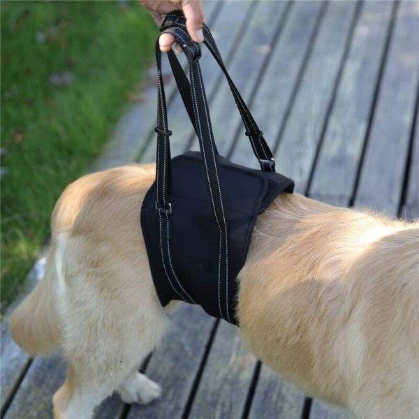 Dog Lifting Harness Dog Lift Support Harness Harness For Old & Injured Dogs Dog Support Harness For Back Legs Pet Sling Carrier black,Pet small,
