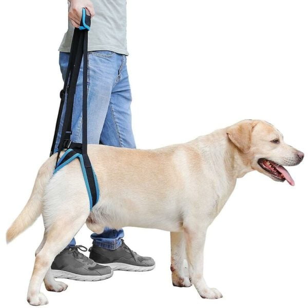 Dog Lifting Harness Portable lifting harness for hind legs, elderly, injured, sick and disabled dogs,S