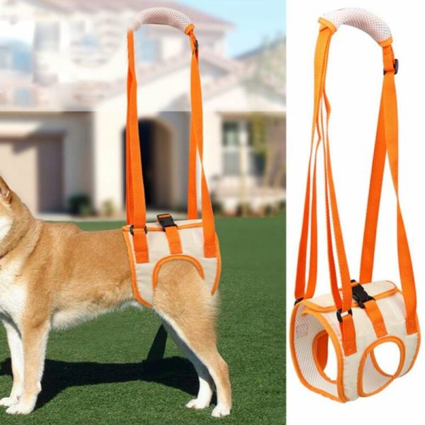 Dog Rear Support Lifting Harness Helps Dogs with Injuries Arthritis (s), Standing Hind Legs, Disability - Pet Rehabilitation Walking Aid Straps