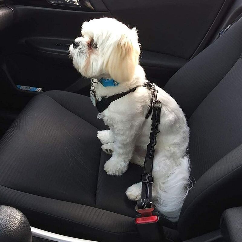 Dog car safety harness, 2pcs. Universal dog car harness, adjustable durable ripstop dog safety belt for all dogs and cats, black nylon
