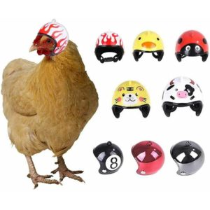 Echoo - Pet Helmet Chicken Helmet Pet Hat Toy Helmet Chicken Hen Helmet Costumes Accessories for Chicken 8 Pieces