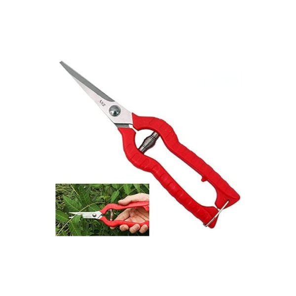Garden Hand Pruners, Pruning Shears with Stainless Steel Straight Precision Blade, Garden Scissors for Small Stems Flowers Fruits, Micro-Tip Pruning