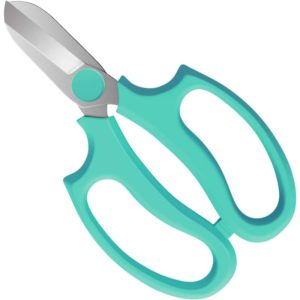 Garden Secateurs / High Quality Steel Graft Secateurs for Plant and Garden Storage - Turquoise