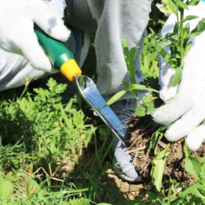 Garden steel shovel for planting flowers, agricultural weeding shovel, iron shovel, weeding shovel