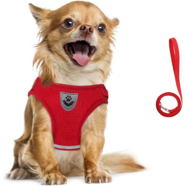 Harness and Leash for Dogs, Soft Mesh Padded Harness Set for Puppies and Cats, Breathable Jacket Adjustable Reflective Interior for Walking, Running,