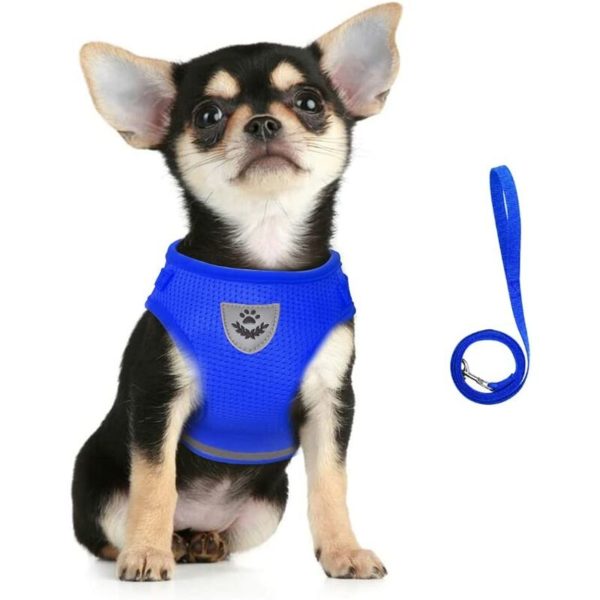 Harness and Leash for Dogs, Soft Mesh Padded Harness Set for Puppies and Cats, Breathable Jacket Adjustable Reflective Interior for Walking, Running,