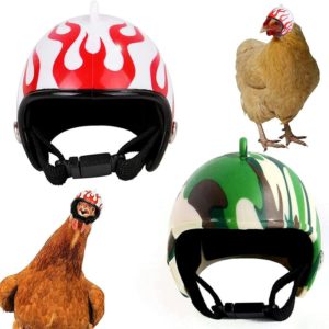 Perle Rare - Chicken Helmet Pet Helmet Mini Animal Helmet Animal Head Helmet Toy For Small Chicken And Duck 2 Pieces