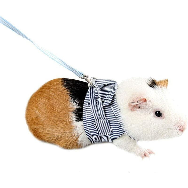 Perle Rare - Soft Cotton Adjustable Harness and Leash Set for Rabbits Guinea Pigs for Rats Iguana Hamster Ferrets Small Animal